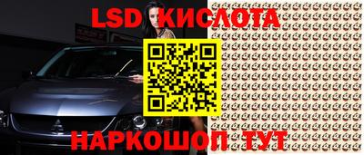 гидра Каменск-Шахтинский
