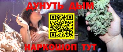 гидра Каменск-Шахтинский