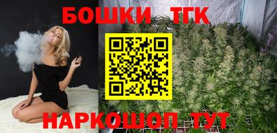 гидра Каменск-Шахтинский