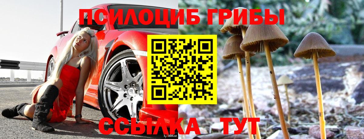 Обнинск  Псилоцибиновые грибы Cubensis  Вход с VPN 